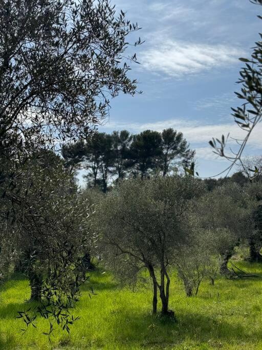 Opio Maison Rayon De Soleil מראה חיצוני תמונה